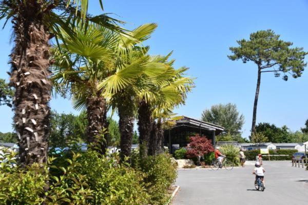 Mobil Home Xxl - Bord Lac - Camping Les Viviers - Lege Cap Ferret Экстерьер фото
